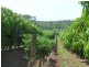Gin Gin QLD 4671