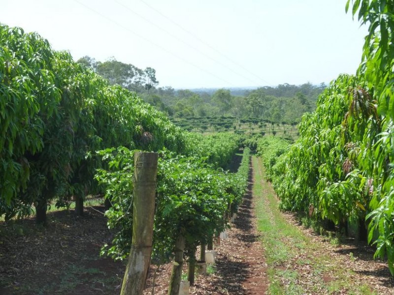 Gin Gin QLD 4671