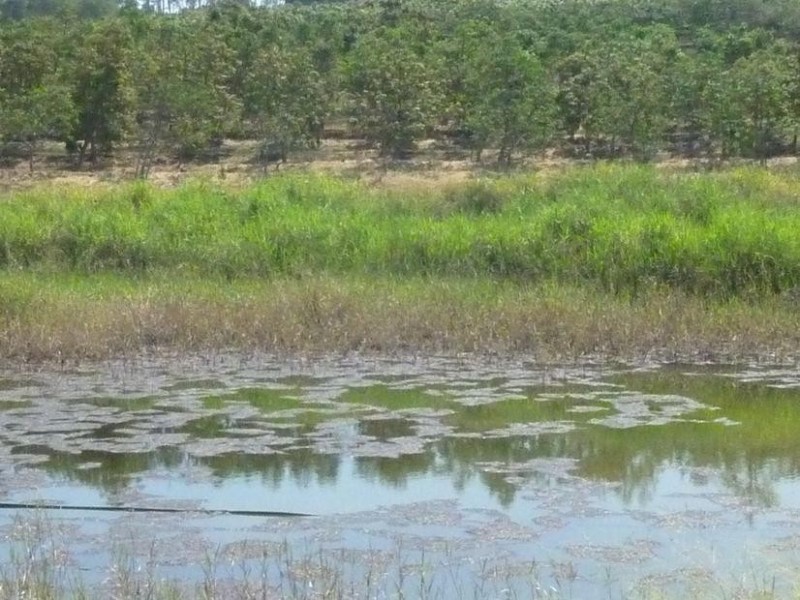 Gin Gin QLD 4671