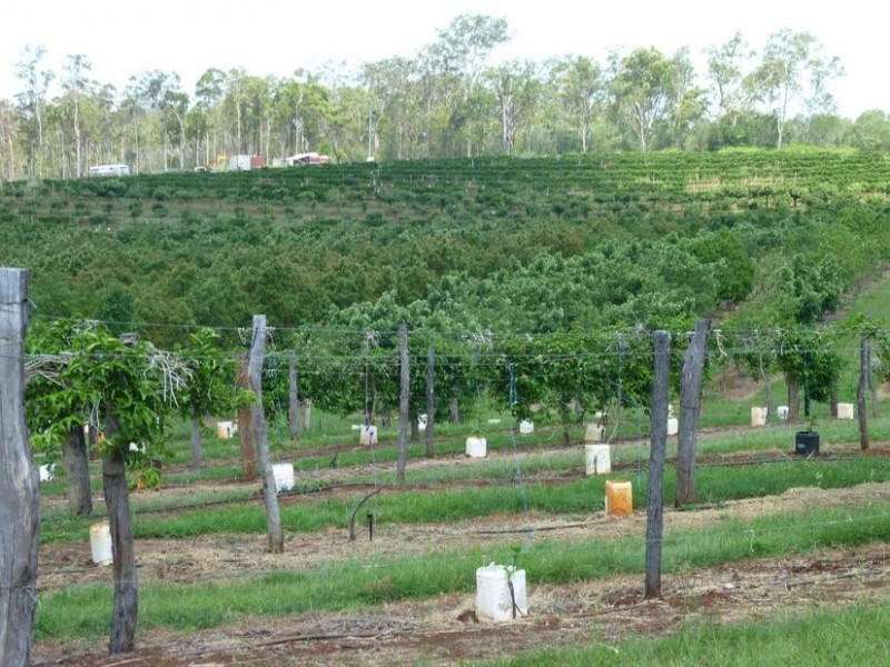 Gin Gin QLD 4671