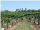 Gin Gin QLD 4671