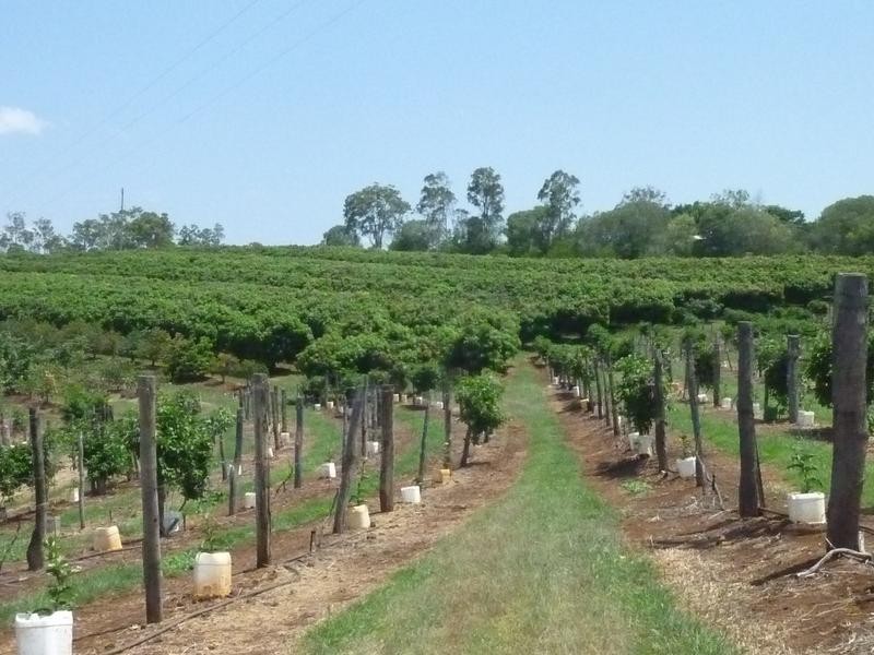 Gin Gin QLD 4671