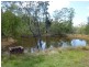 Apple Tree Creek QLD 4660