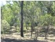 Isis River QLD 4660
