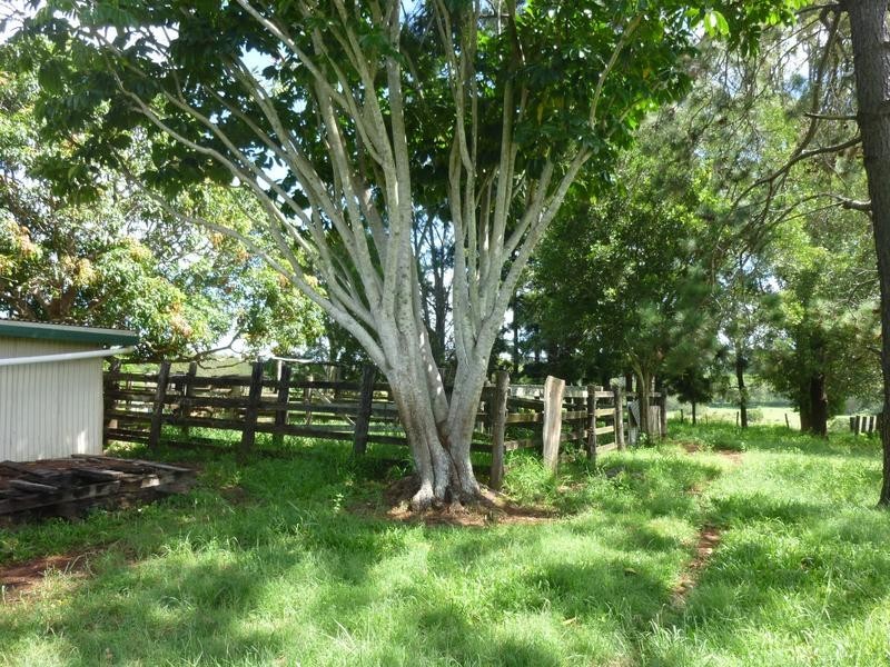 90 NISSENS LANE, Childers QLD 4660