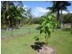 94 FOLEYS ROAD, North Gregory QLD 4660
