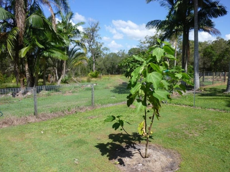 94 FOLEYS ROAD, North Gregory QLD 4660