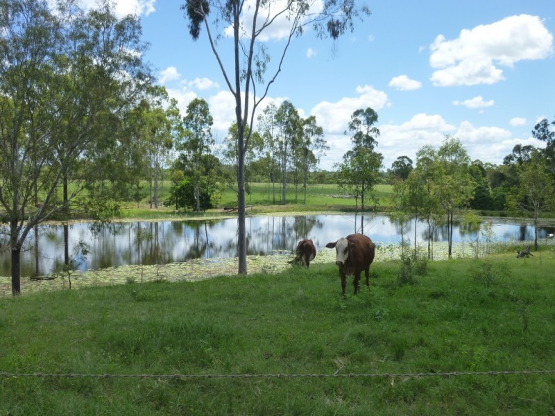Haylocks Road, Pine Creek QLD 4670