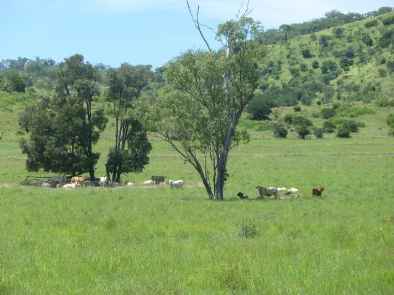 Coalstoun Lakes QLD 4621