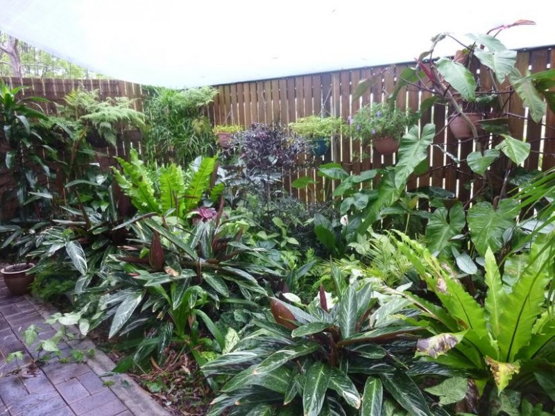 23 LEONARD COURT, Cordalba QLD 4660