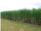 349 Knockroe Road, North Isis QLD 4660