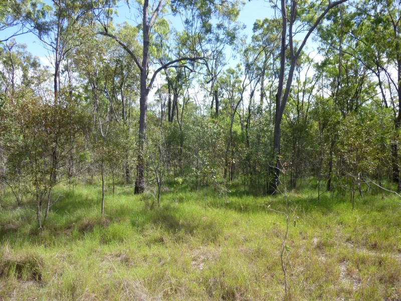 7045 Isis Highway, Eureka QLD 4660