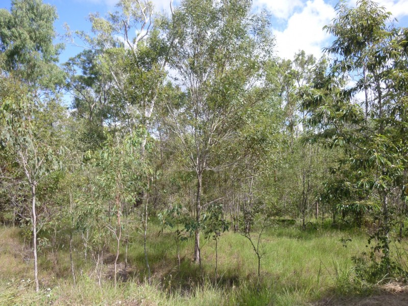 7045 Isis Highway, Eureka QLD 4660