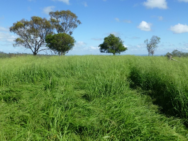 Coalstoun Lakes QLD 4621
