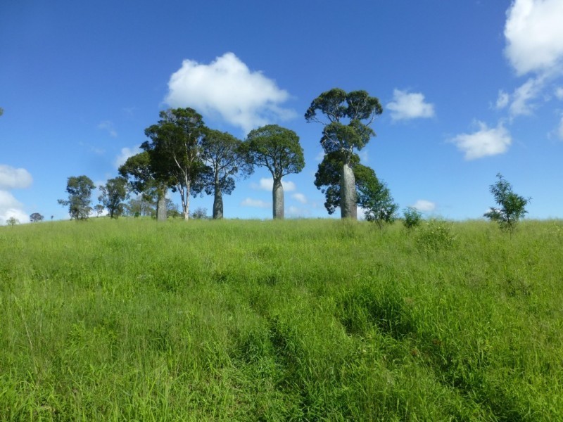 Coalstoun Lakes QLD 4621