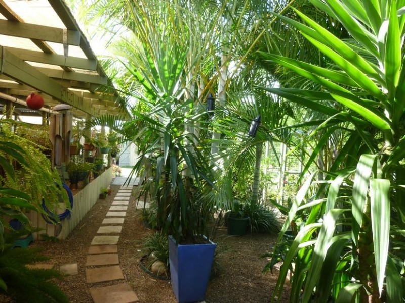 32 JENSEN STREET, Cordalba QLD 4660