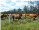 105 Railway Road,, Booyal QLD 4671