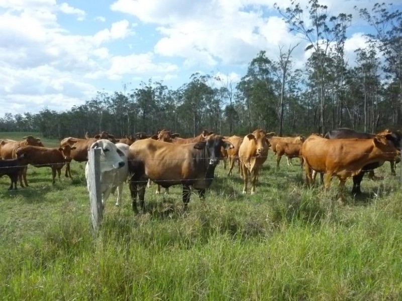 105 Railway Road,, Booyal QLD 4671