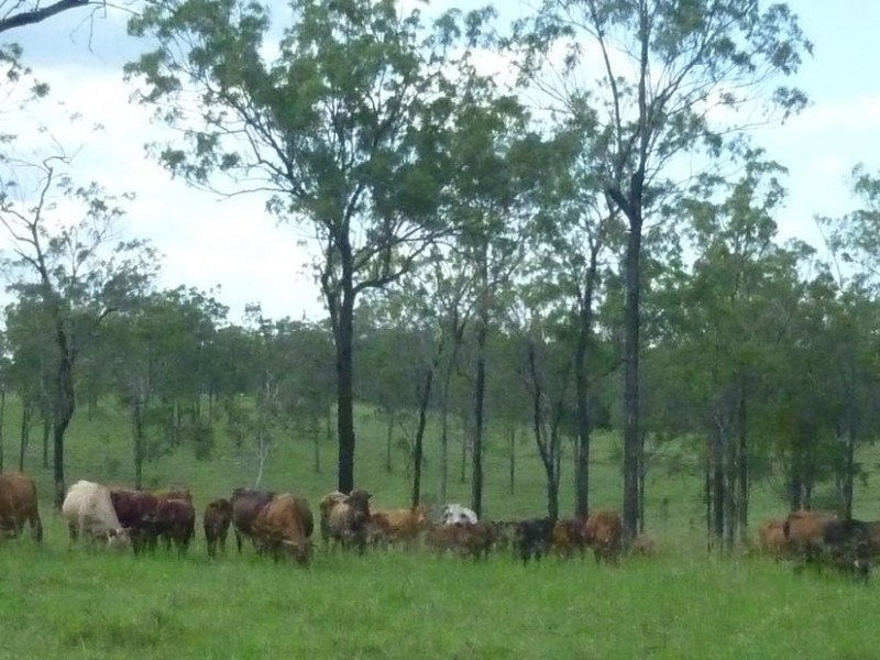 105 Railway Road,, Booyal QLD 4671