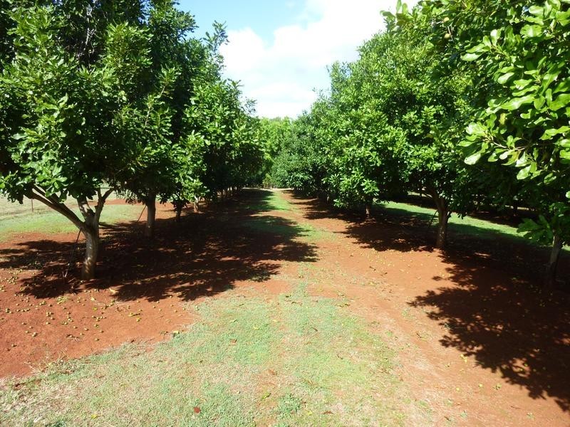 258 ATC HALL ROAD, NORTH ISIS, Childers QLD 4660