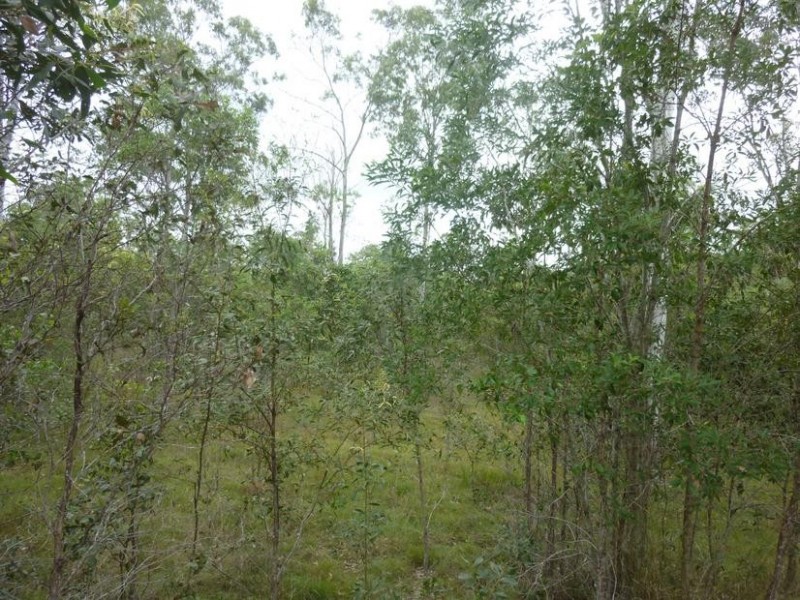 49 STOCKYARD ROAD, NORTH ISIS, Childers QLD 4660