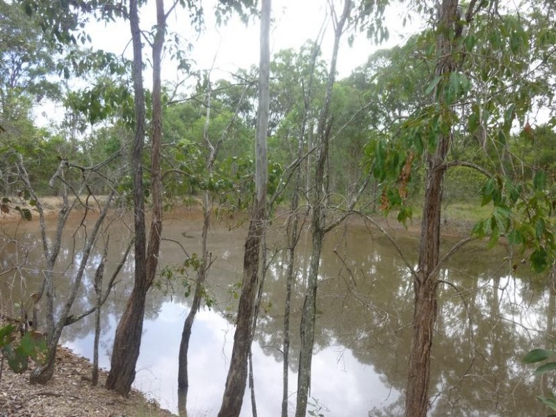 49 STOCKYARD ROAD, NORTH ISIS, Childers QLD 4660