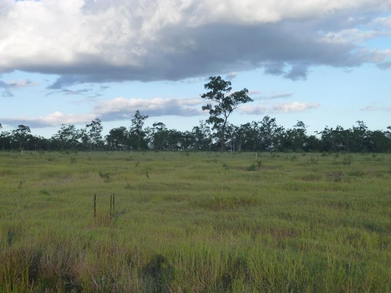 548 RINGWOOD ROAD, Booyal QLD 4671