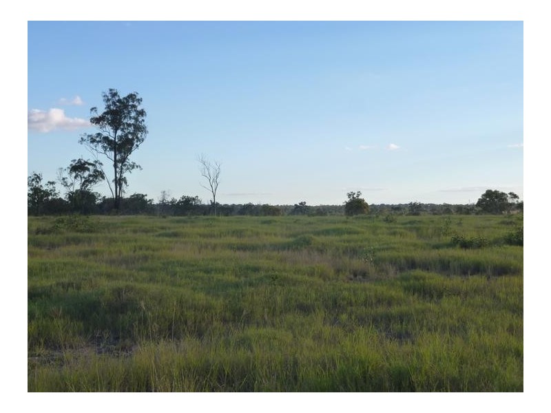 548 RINGWOOD ROAD, Booyal QLD 4671