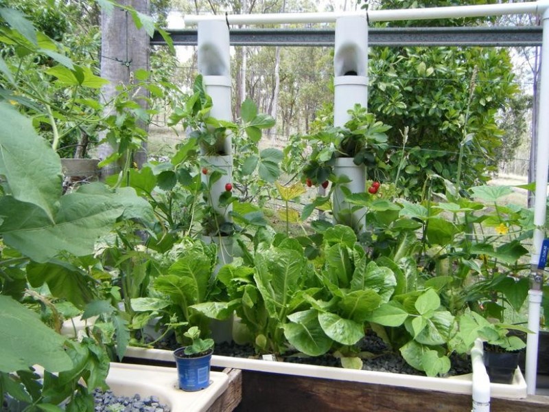 82 BUNNS ROAD, Apple Tree Creek QLD 4660