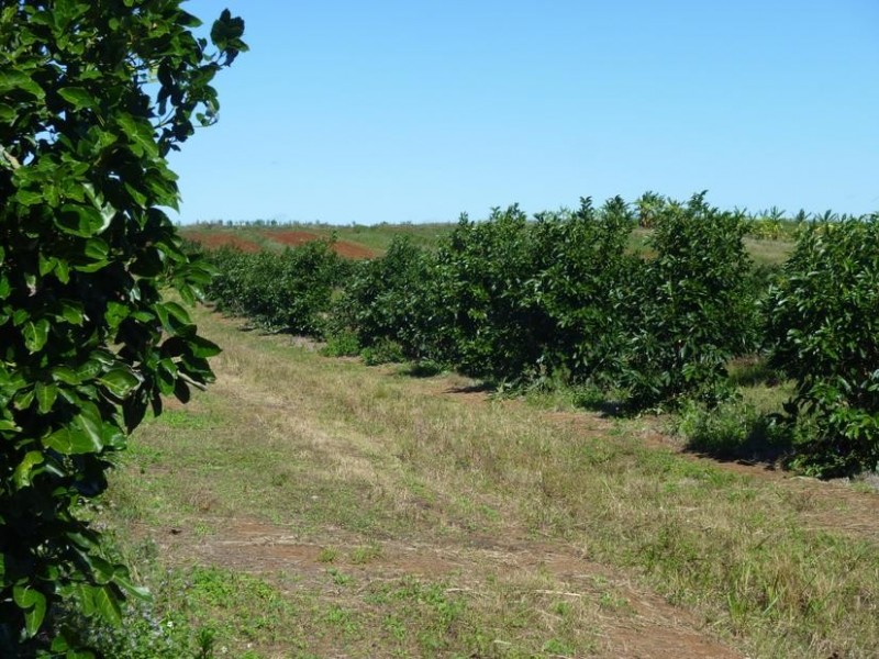 137 GORRIES ROAD, North Isis QLD 4660