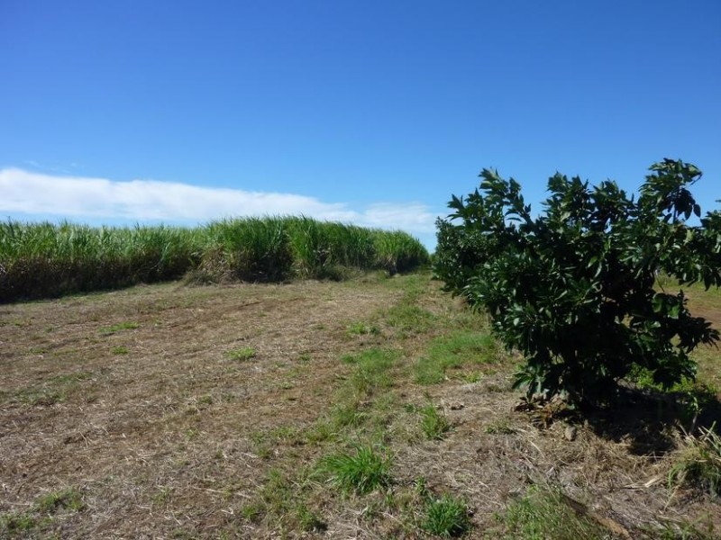 137 GORRIES ROAD, North Isis QLD 4660