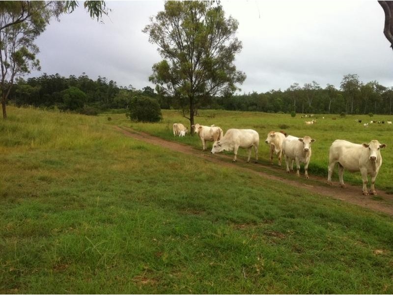 1117 GOODNIGHT SCRUB ROAD, Good Night QLD 4671