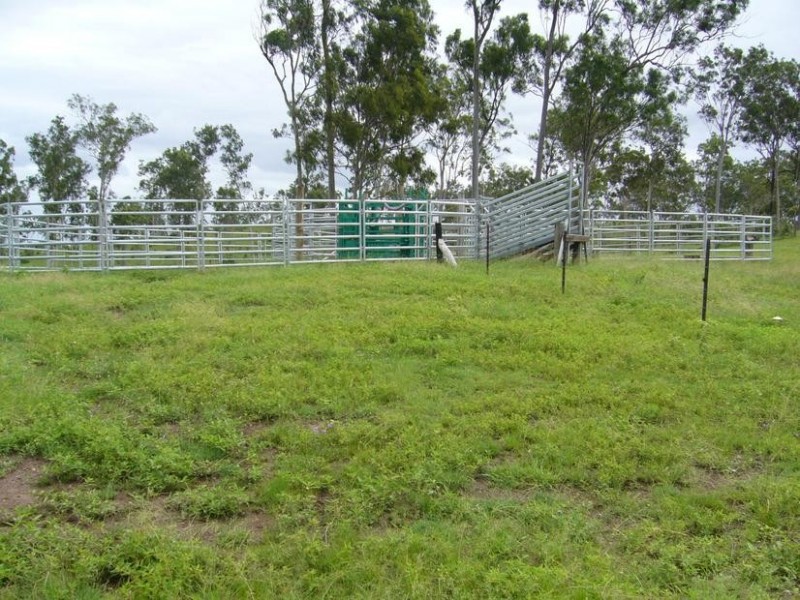 1117 GOODNIGHT SCRUB ROAD, Good Night QLD 4671