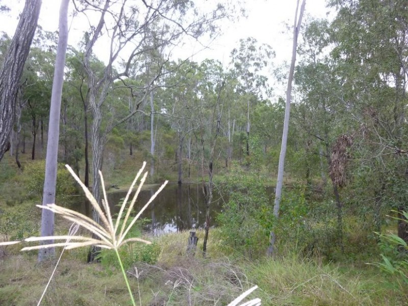 265 GENTLE ANNIE ROAD, Apple Tree Creek QLD 4660