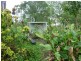 a MILLER STREET, Apple Tree Creek QLD 4660