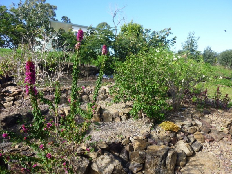 8 ANDERSEN STREET, Dallarnil QLD 4621