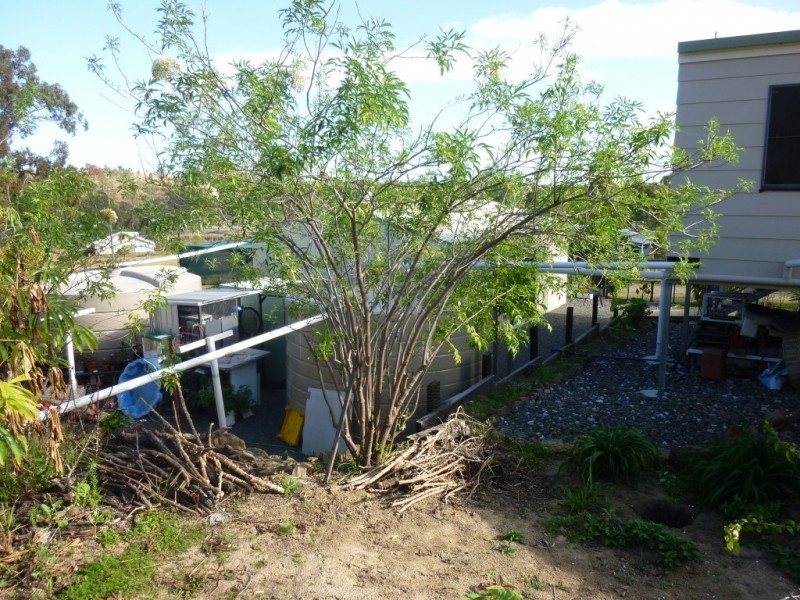 8 ANDERSEN STREET, Dallarnil QLD 4621