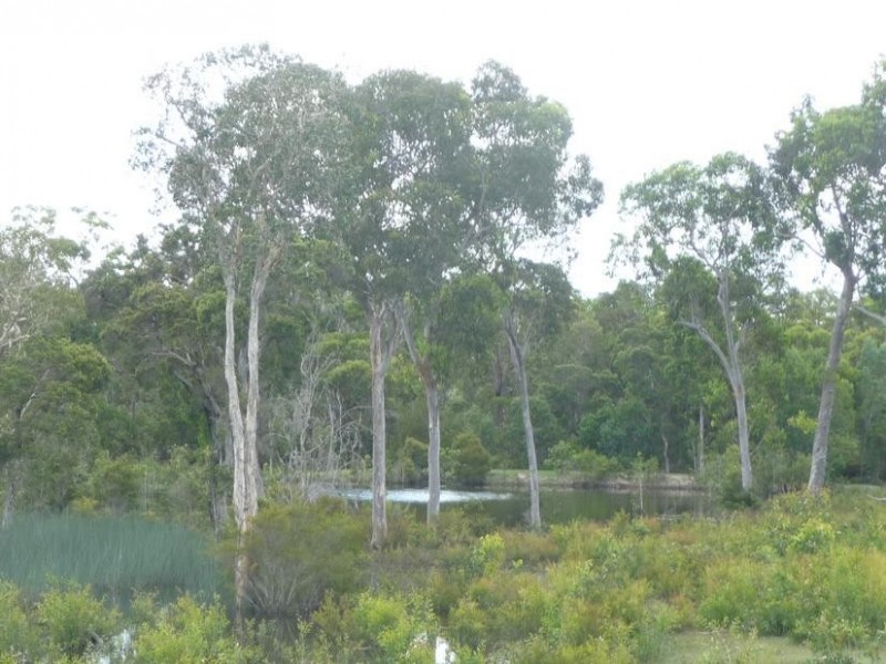 2252 GOODWOOD ROAD, Goodwood QLD 4660