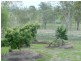 6 HORTON STREET, Biggenden QLD 4621