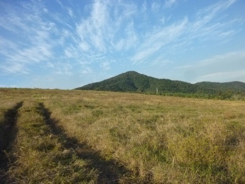 Dallarnil QLD 4621