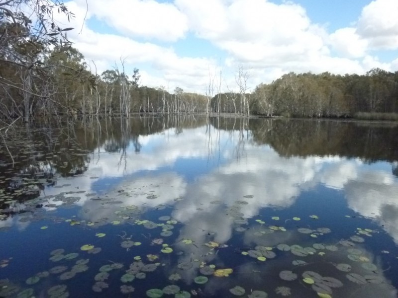 89 SMITHS ROAD, Redridge QLD 4660