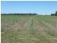 North Gregory QLD 4660