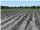 North Gregory QLD 4660