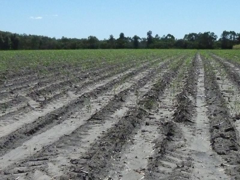 North Gregory QLD 4660