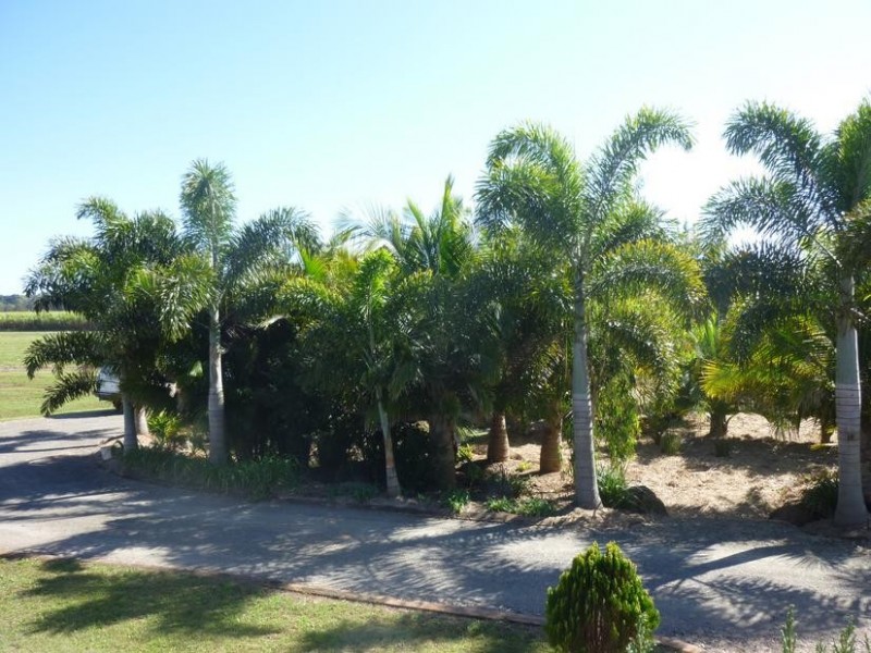 111 WECHSELS ROAD, Doolbi QLD 4660