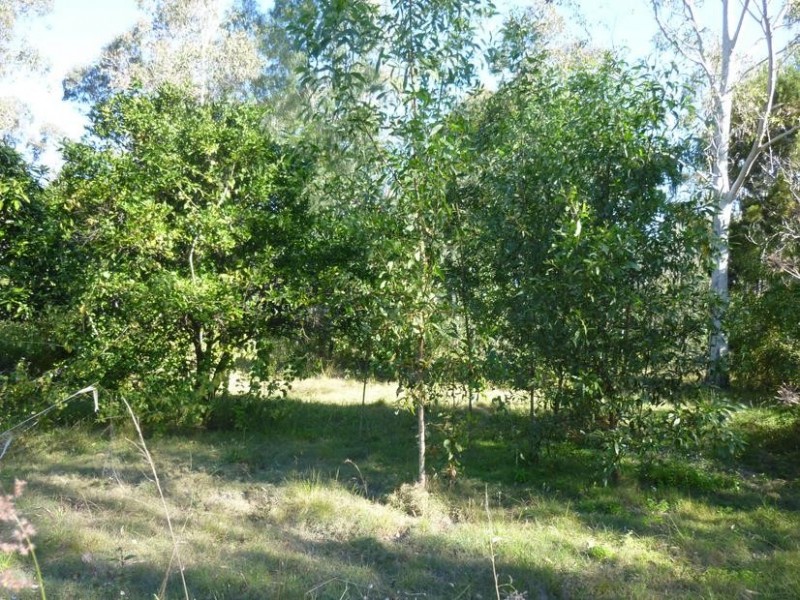 25 STOCKYARD ROAD, NORTH ISIS, Childers QLD 4660