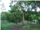 36 OXHILL DRIVE, Gin Gin QLD 4671