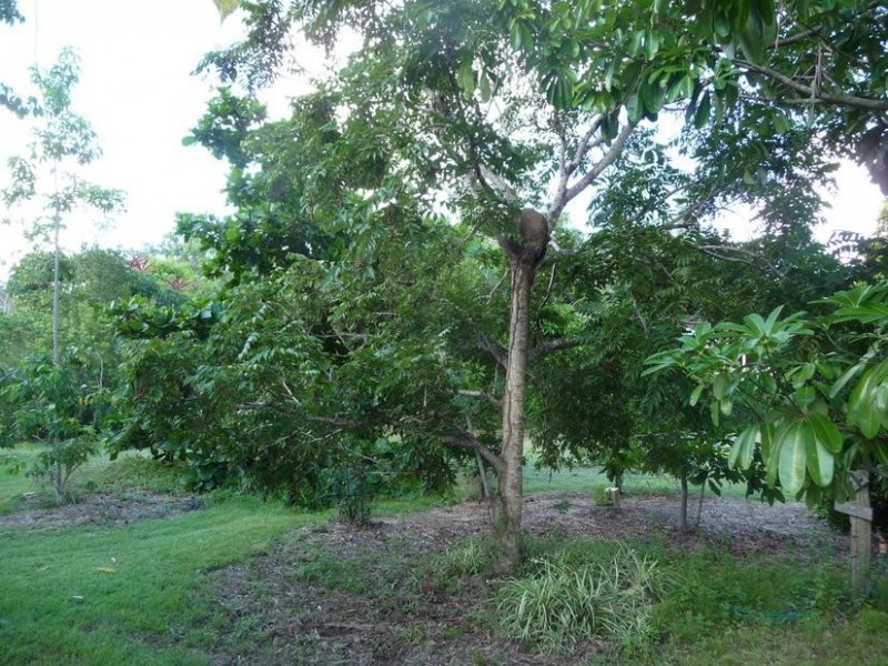 36 OXHILL DRIVE, Gin Gin QLD 4671