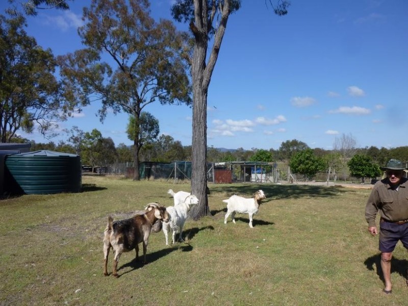 7225 Isis Highway, EUREKA, Childers QLD 4660