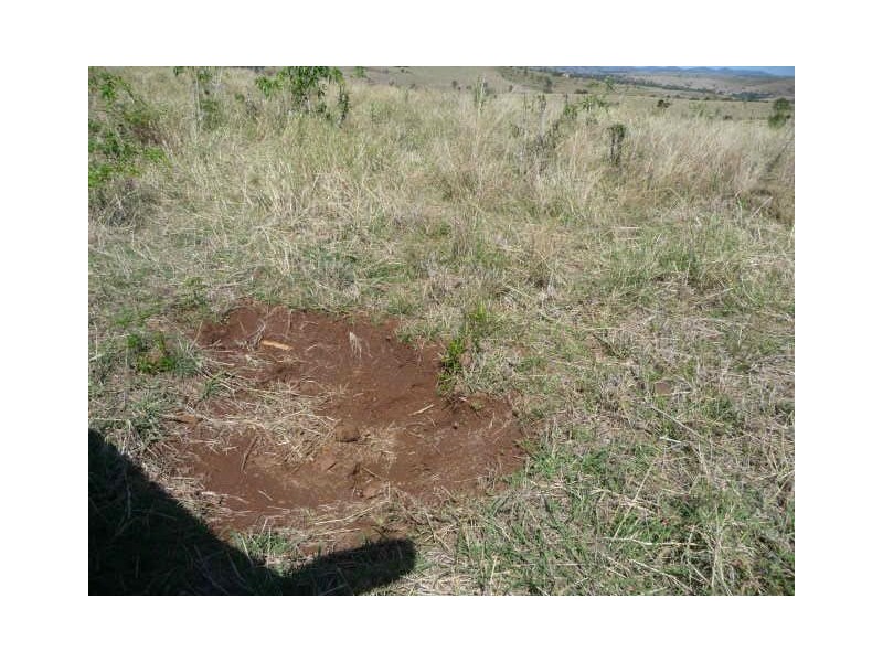 219 NORTH DALLARNIL ROAD, Dallarnil QLD 4621